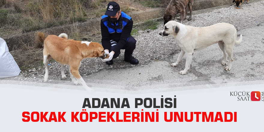 Adana polisi sokak köpeklerini unutmadı