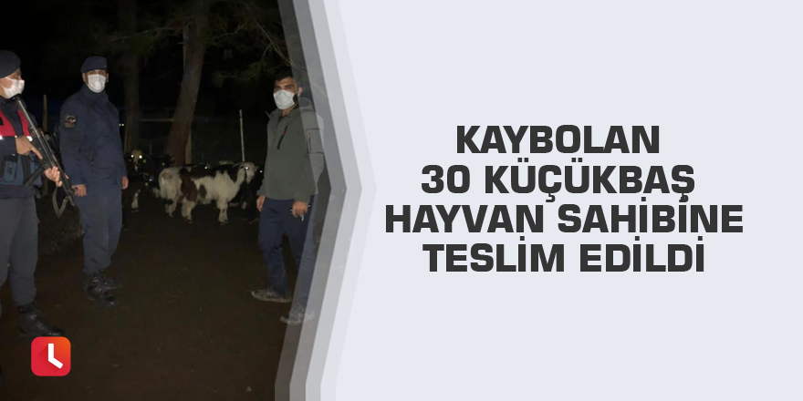 Kaybolan 30 küçükbaş hayvan sahibine teslim edildi