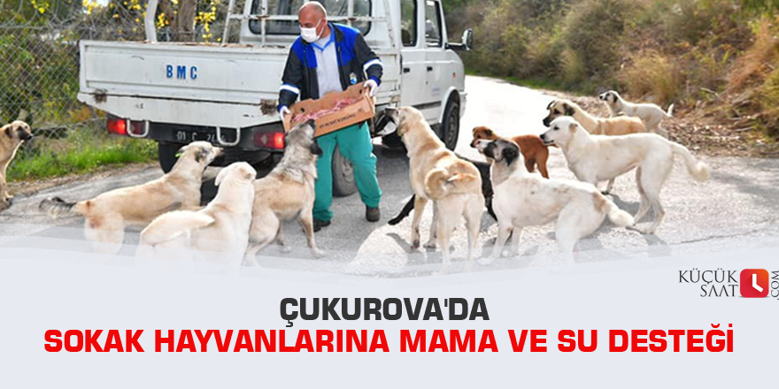 Çukurova'da sokak hayvanlarına mama ve su desteği