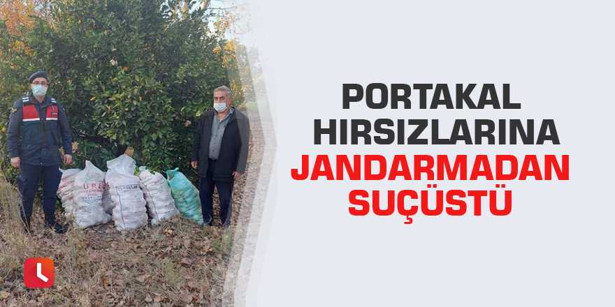 Portakal hırsızlarına jandarmadan suçüstü