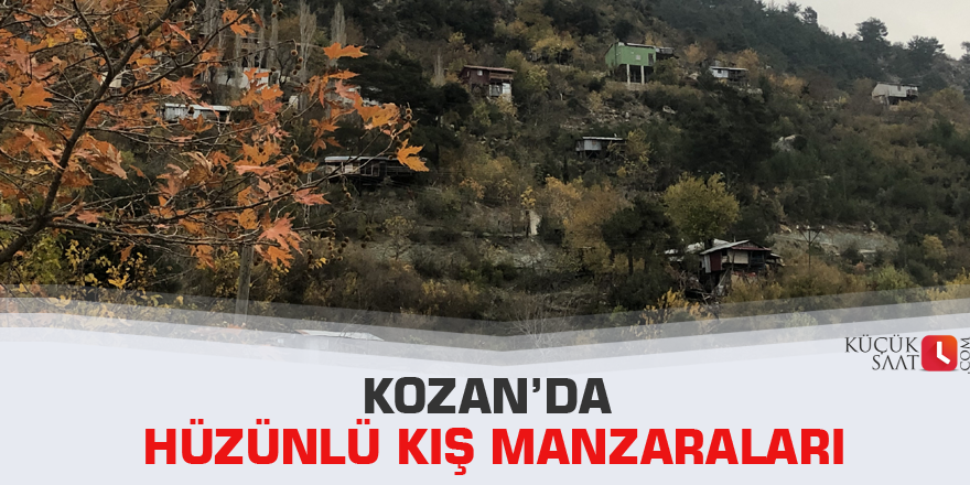 Kozan’da hüzünlü kış manzaraları