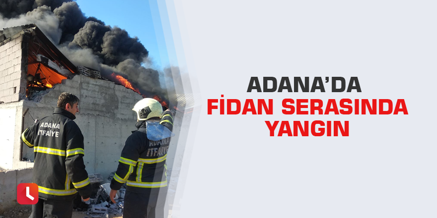 Adana’da fidan serasında yangın