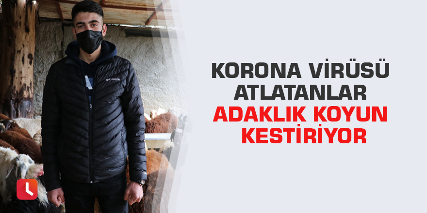 Korona virüsü atlatanlar adaklık koyun kestiriyor