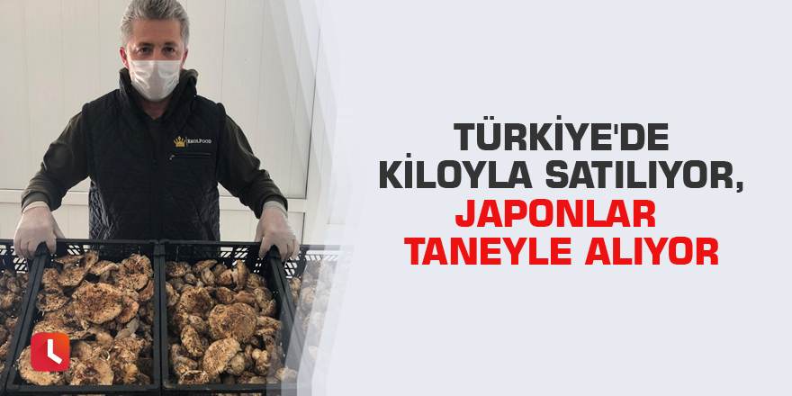 Türkiye'de kiloyla satılıyor, Japonlar taneyle alıyor