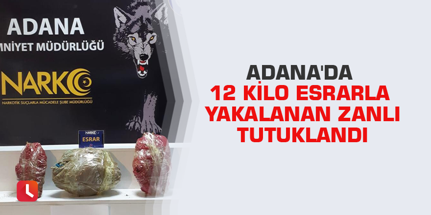 Adana'da 12 kilo esrarla yakalanan zanlı tutuklandı