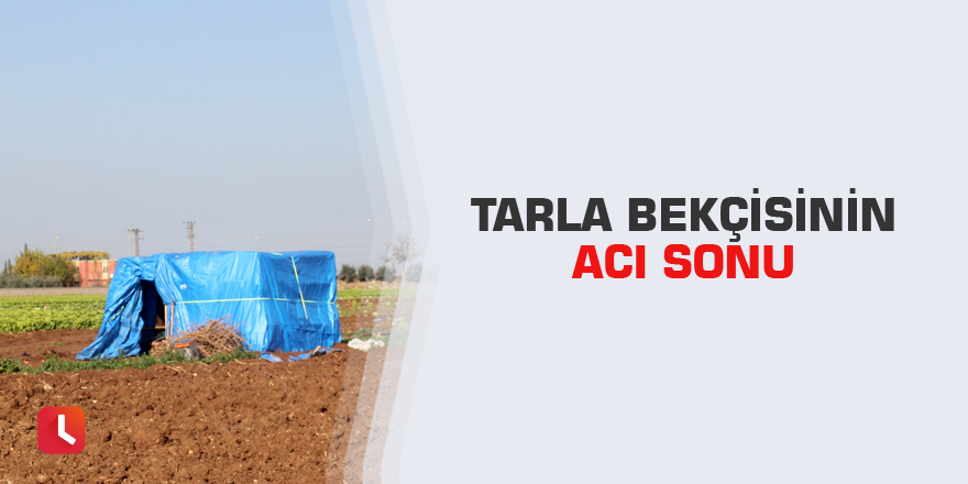 Tarla bekçisinin acı sonu