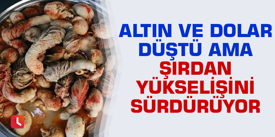 Altın ve dolar düştü ama şırdan yükselişini sürdürüyor