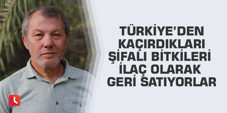 Türkiye’den kaçırdıkları şifalı bitkileri ilaç olarak geri satıyorlar