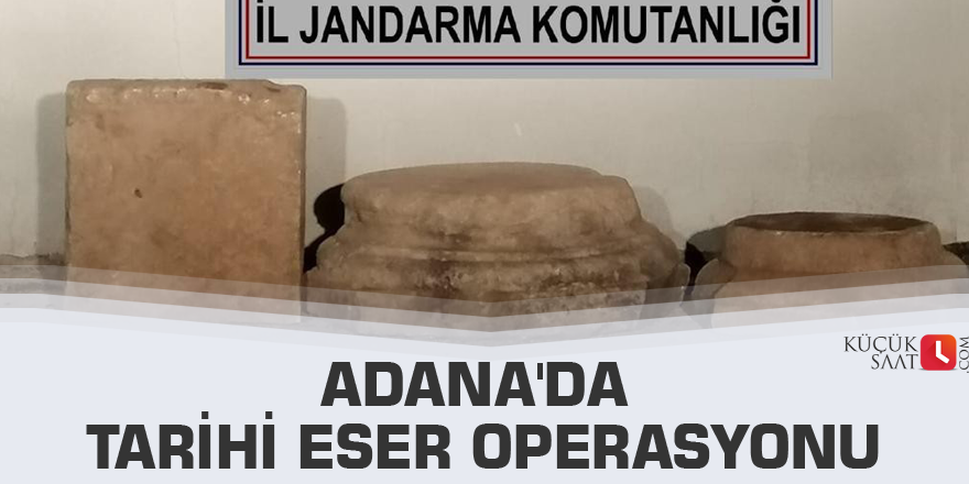 Adana'da tarihi eser operasyonu