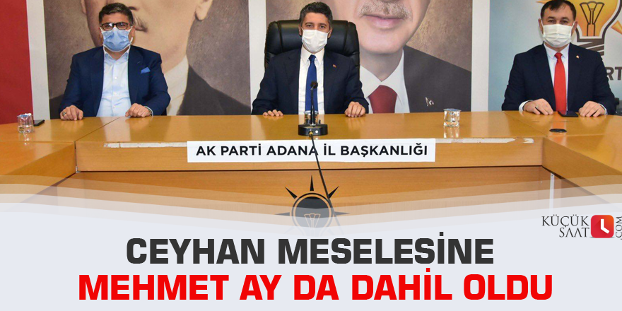 Ceyhan meselesine Mehmet Ay da dahil oldu