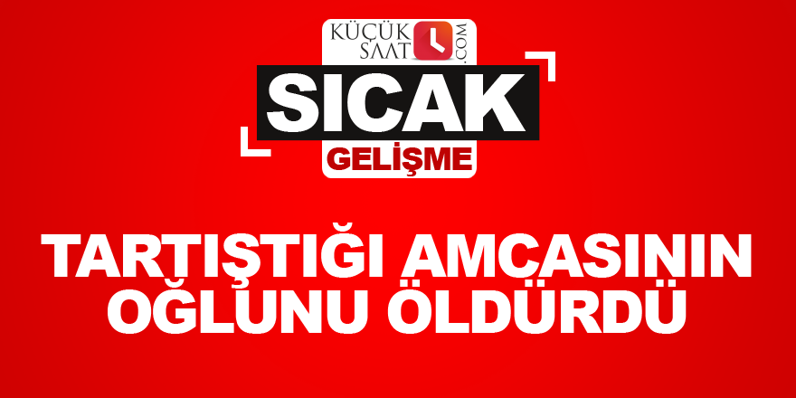 Tartıştığı amcasının oğlunu öldürdü