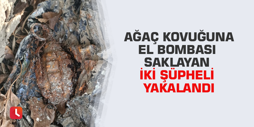 Ağaç kovuğuna el bombası saklayan iki şüpheli yakalandı