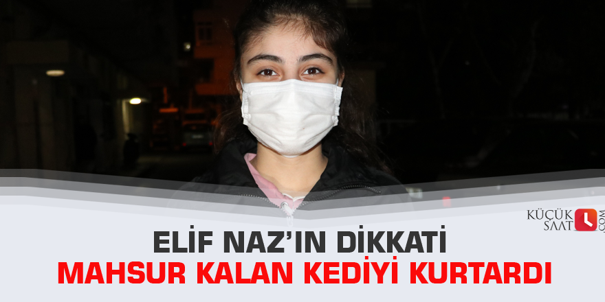 Elif Naz’ın dikkati mahsur kalan kediyi kurtardı