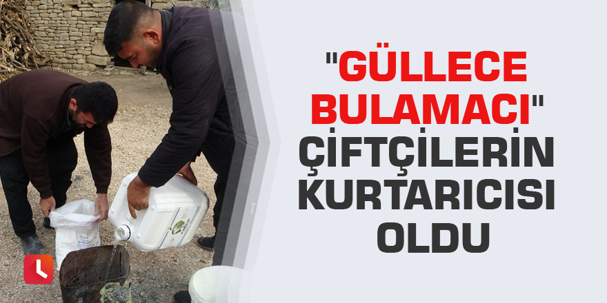 "Güllece bulamacı" çiftçilerin kurtarıcısı oldu