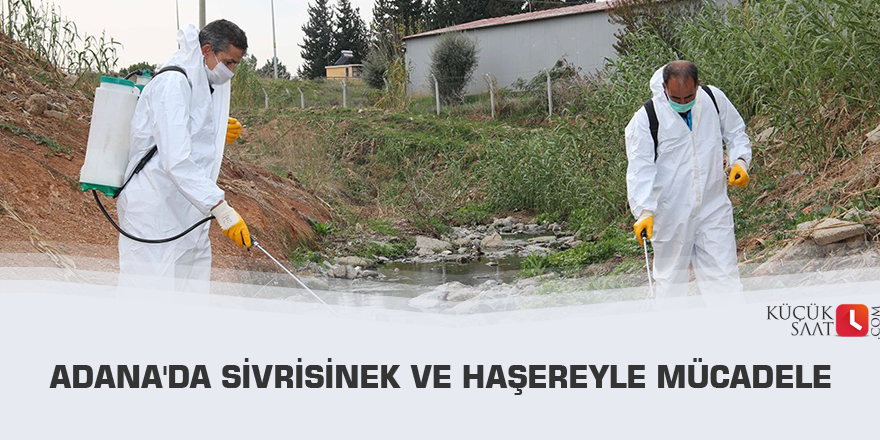 Adana'da sivrisinek ve haşereyle mücadele