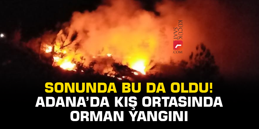 Sonunda bu da oldu! Adana'da kış ortasında orman yangını