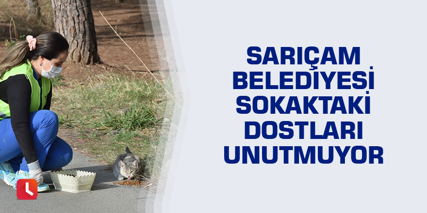 Sarıçam Belediyesi sokaktaki dostları unutmuyor