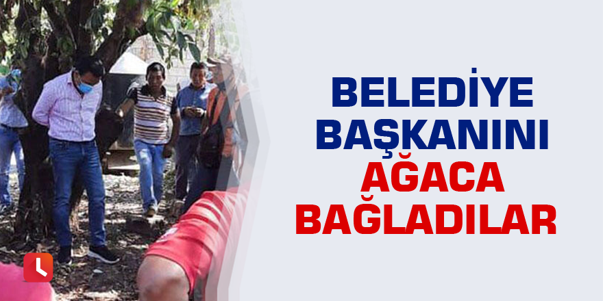 Belediye başkanını ağaca bağladılar