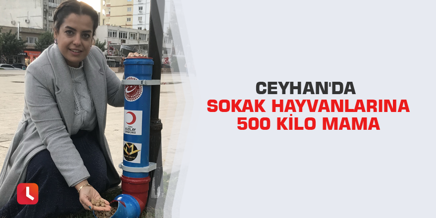 Ceyhan'da sokak hayvanlarına 500 kilo mama