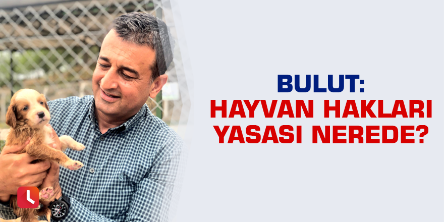 Bulut: Hayvan Hakları Yasası Nerede?