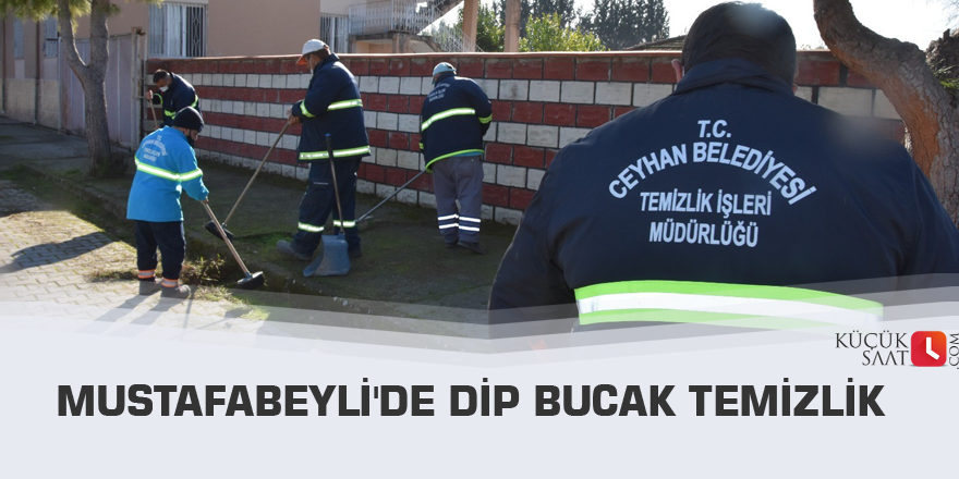 Mustafabeyli'de dip bucak temizlik