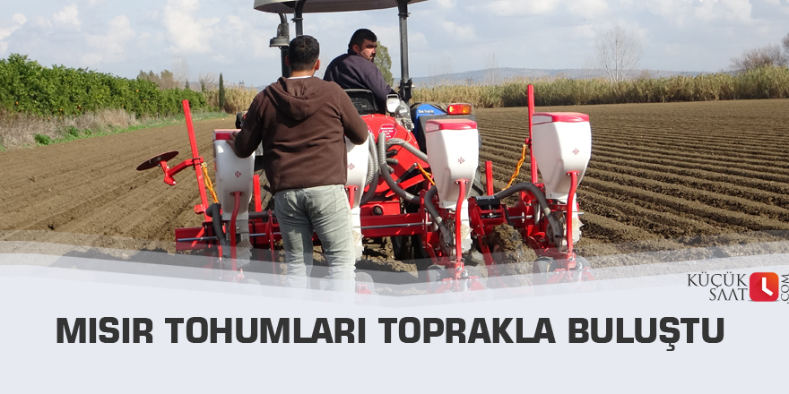 Mısır tohumları toprakla buluştu