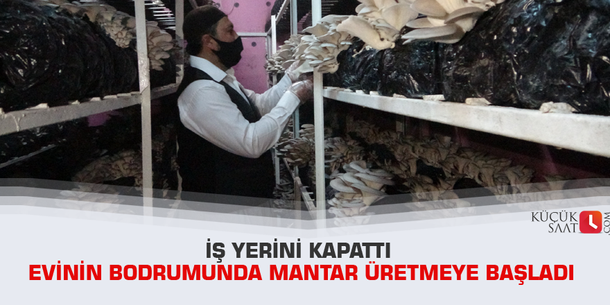 İş yerini kapattı evinin bodrumunda mantar üretmeye başladı