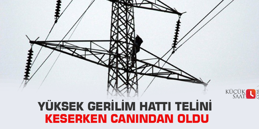 Yüksek gerilim hattı telini keserken canından oldu