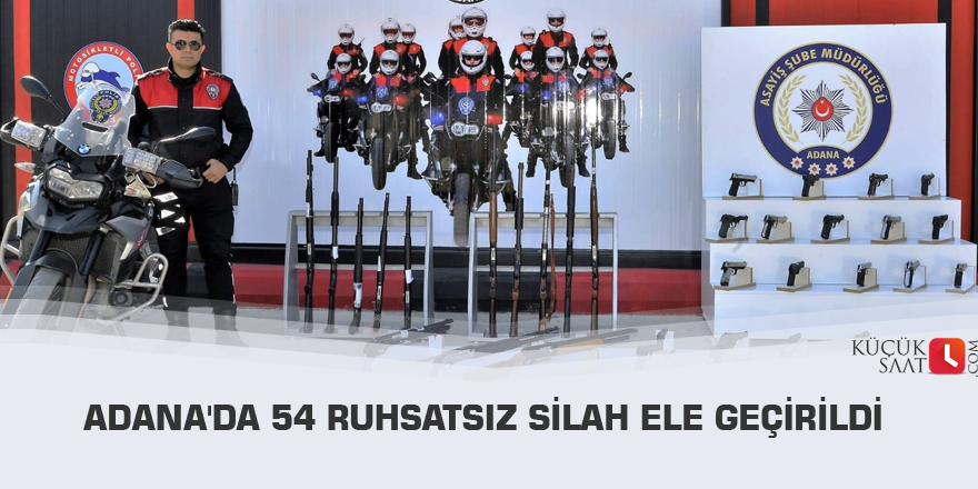 Adana'da 54 ruhsatsız silah ele geçirildi