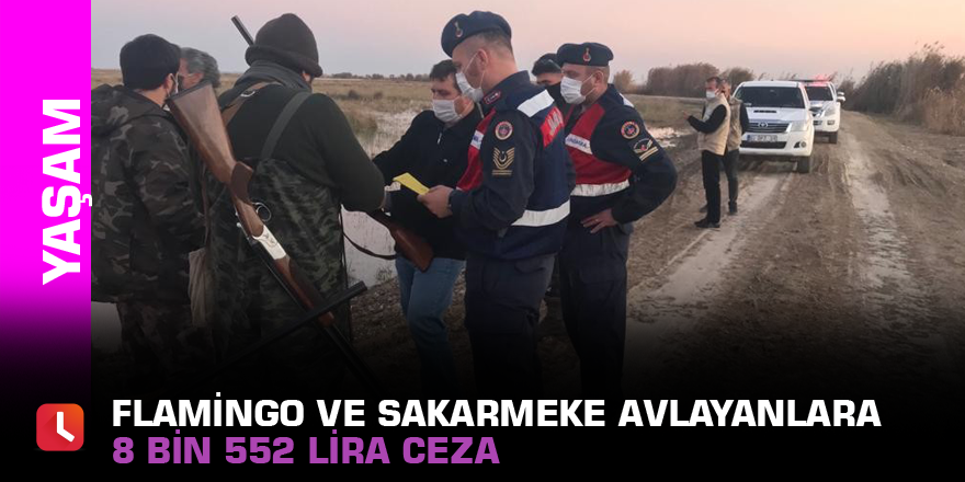 Flamingo ve sakarmeke avlayanlara 8 bin 552 lira ceza