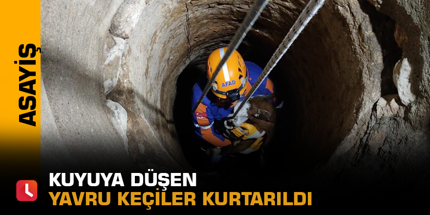 Kuyuya düşen yavru keçiler kurtarıldı