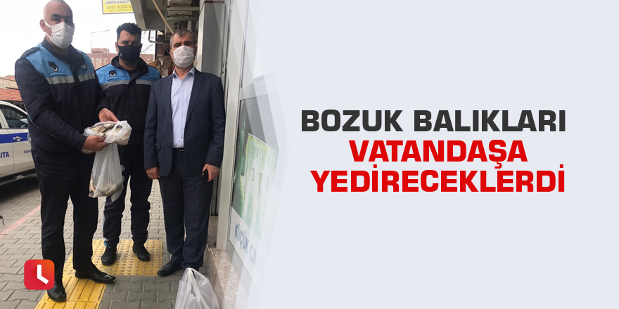 Bozuk balıkları vatandaşa yedireceklerdi