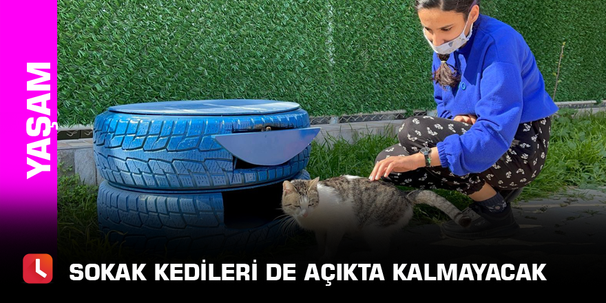 Sokak kedileri de açıkta kalmayacak