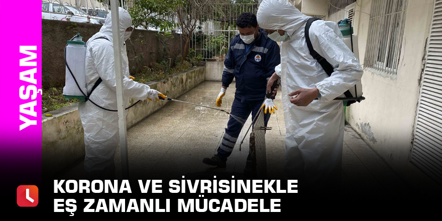 Korona ve sivrisinekle eş zamanlı mücadele