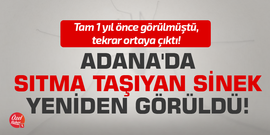 Adana'da sıtmalı sinek yeniden görüldü!