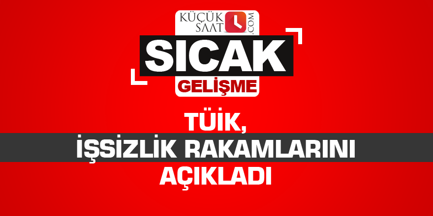 TÜİK, işsizlik rakamlarını açıkladı