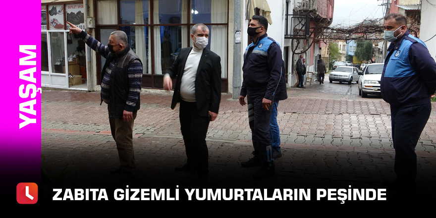 Zabıta gizemli yumurtaların peşinde