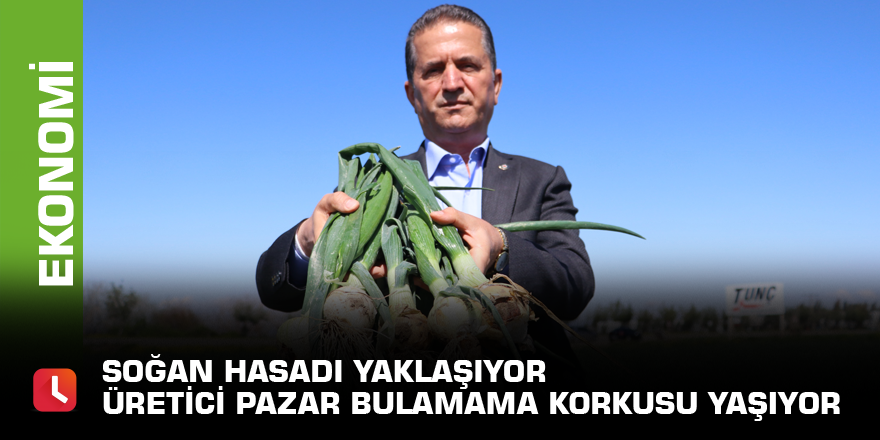 Soğan hasadı yaklaşıyor üretici pazar bulamama korkusu yaşıyor