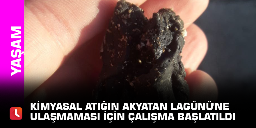 Kimyasal atığın Akyatan Lagünü'ne ulaşmaması için çalışma başlatıldı