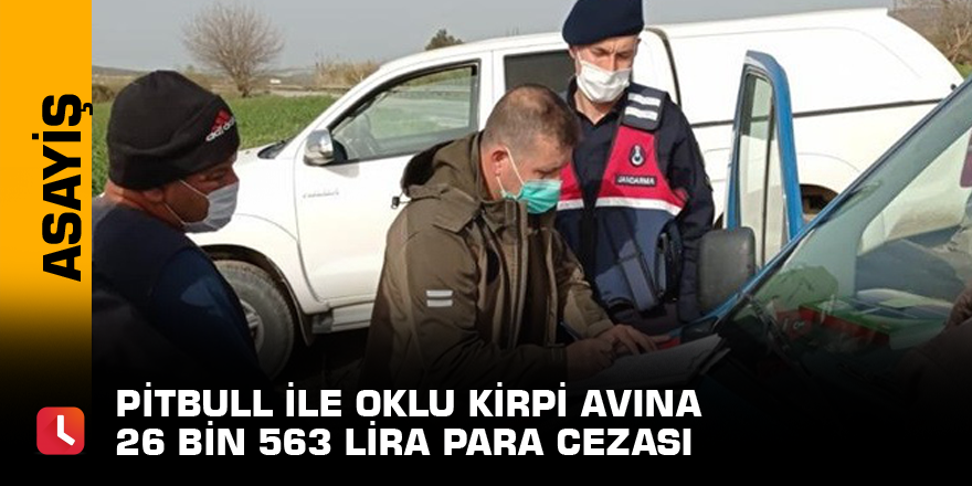 Pitbull ile oklu kirpi avına 26 bin 563 lira para cezası