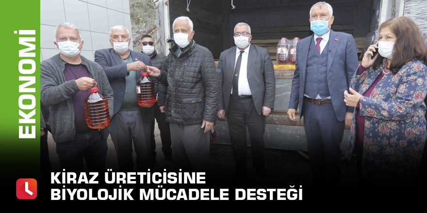 Kiraz üreticisine biyolojik mücadele desteği