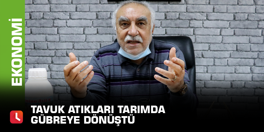 Tavuk atıkları tarımda gübreye dönüştü