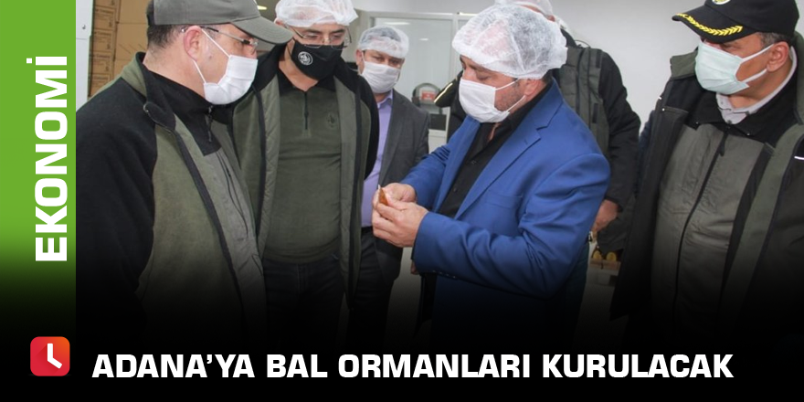 Adana’ya bal ormanları kurulacak