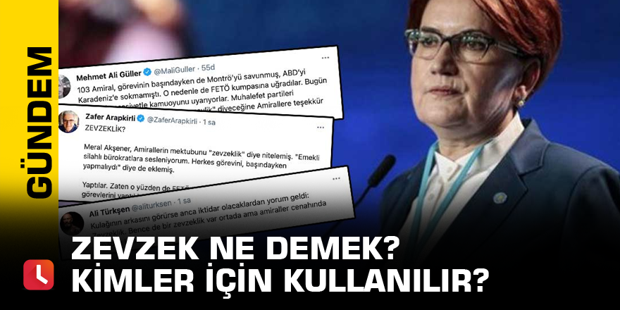 Zevzek ne demek? Kimler için kullanılır?