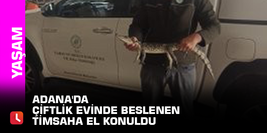 Adana'da çiftlik evinde beslenen timsaha el konuldu