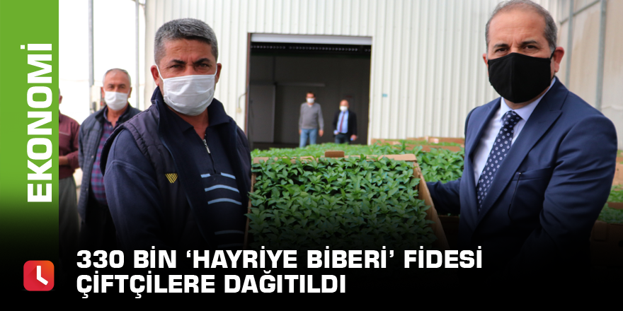 330 bin ‘Hayriye Biberi’ fidesi çiftçilere dağıtıldı