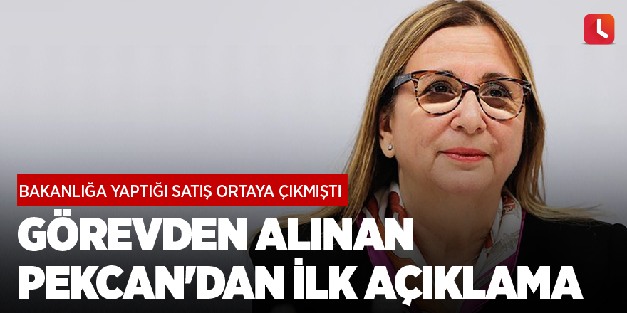 Görevden alınan Pekcan'dan ilk açıklama