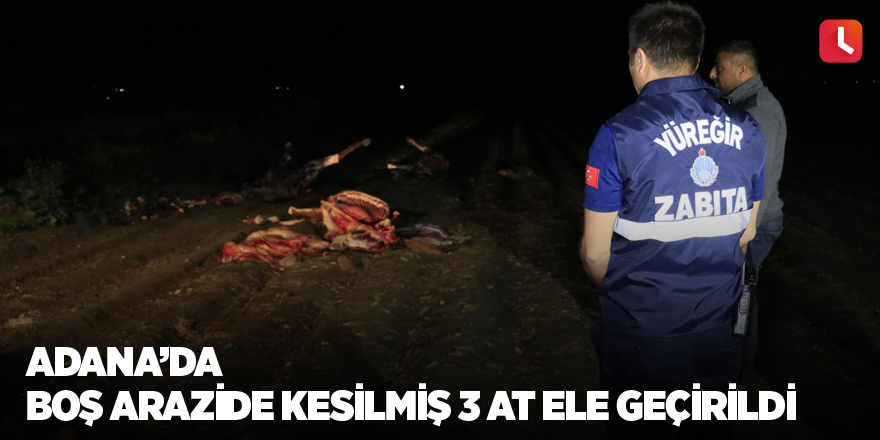 Adana’da boş arazide kesilmiş 3 at ele geçirildi