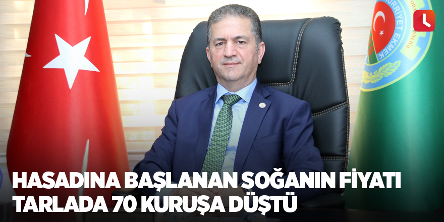 Hasadına başlanan soğanın fiyatı tarlada 70 kuruşa düştü