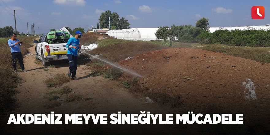 Akdeniz Meyve Sineğiyle mücadele